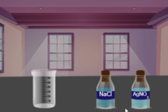 The Interaction of the Sodium Chloride Solution with The Silver Nitrate Solution